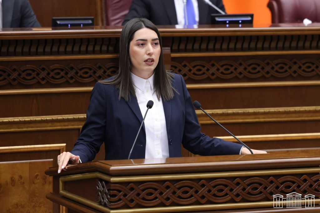 ՆԳ նախարարն ԱԺ-ում ներկայացրել է ՆԳ նախարարության ֆինանսական հատկացումներն ու ծրագրերը