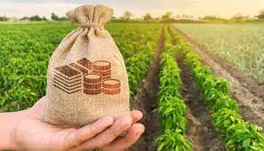 2023թ. գյուղատնտեսական ծրագրերի իրականացման համար կհատկացվի մոտ 37 մլրդ դրամ