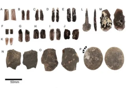 Եղեգիսում հայտնաբերվել է ավելի քան 5000 տարվա վաղեմության գործիքներ և կենդանիների մնացորդներ պարունակող ապաստարան