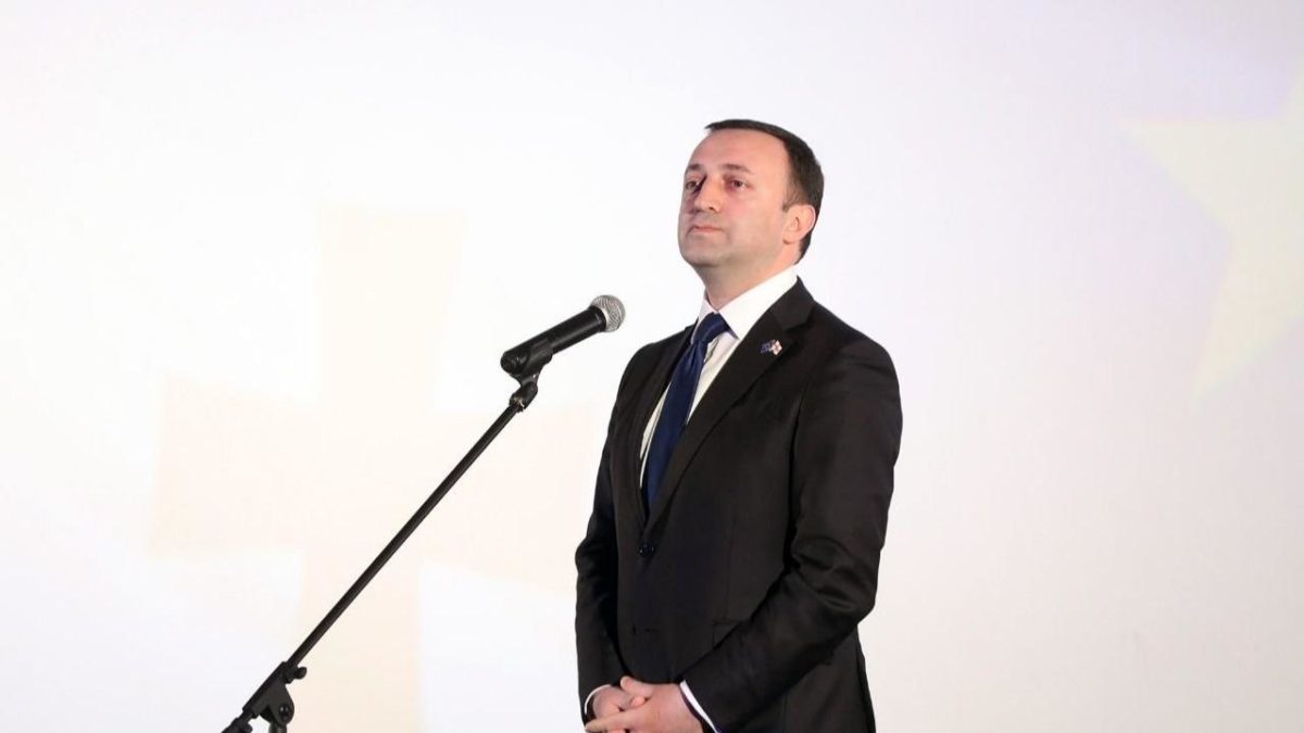 Իվանիշվիլիի՝ քաղաքականություն վերադառնալու մասին խոսակցությունները շահարկումներ են. Ղարիբաշվիլի