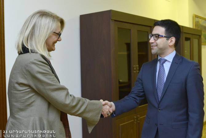 Ռուստամ Բադասյանն ու Դեբորա Գրիզերը քննարկել են համագործակցությունը զարգացնելու ուղղությունները