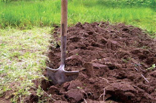 «Հայաստանի Հանրապետություն». Սակավահող երկրի անմշակ հողերն անթույլատրելի «շռայլություն» են