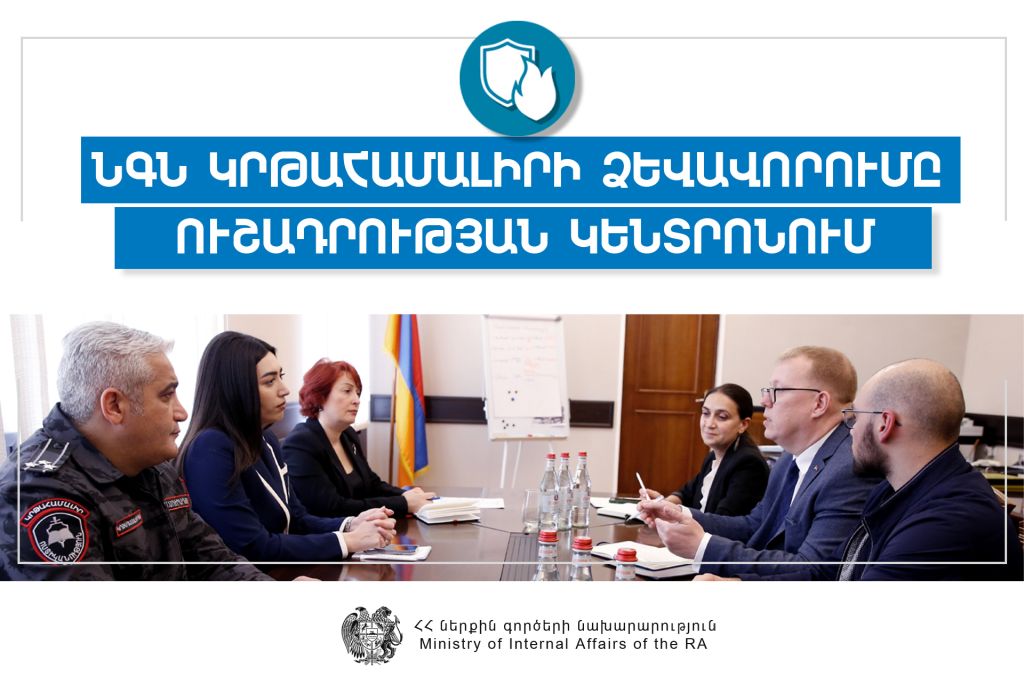 Միջազգային փորձագետի հետ հանդիպումների ընթացքում քննարկվել են ՆԳՆ կրթահամալիրի ձևավորման ինստիտուցիոնալ հարցեր