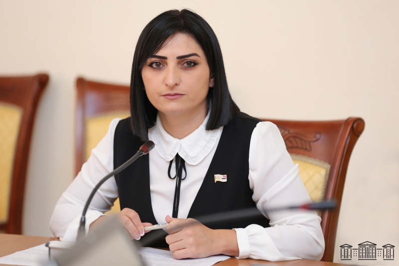 Հնչեցրե՛ք գնահատական. Թովմասյանը գրություններ է ուղարկել միջազգային գործընկերներին