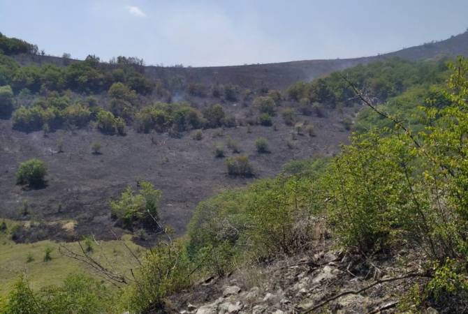 Այգեձոր գյուղում այրվել է մոտ 8 հա խոտածածկ տարածք