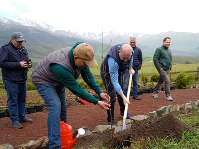 Լոռու մարզում կհիմնվի նոր անտառ՝ հայկական դրամի 30-ամյակի առթիվ. Տնկելու են 160 հազար ծառ