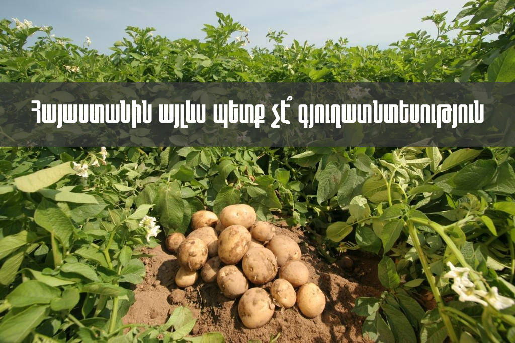 Հայաստանում գյուղատնտեսությունը ձախողելով` ճանապա՞րհ եք ուզում բացել թուրքական ապրանքների համար. պատգամավոր