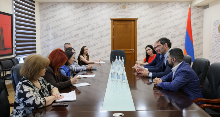 «Սա լավ նախադեպ կդառնա». ԿԳՄՍ նախարարն ընդունել է ՖԻԲԱ Եվրոպայի նախագահին