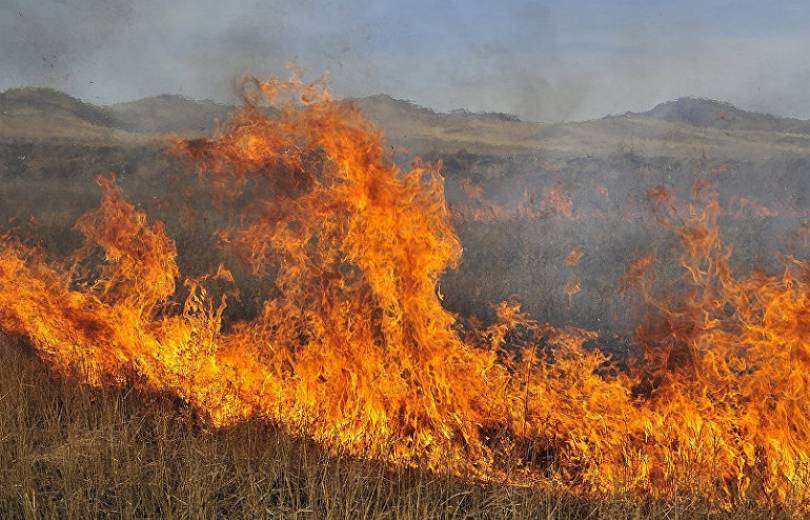 Էջմիածին-Մարգարա ավտոճանապարհին այրվել է մոտ 30 հակ անասնակեր