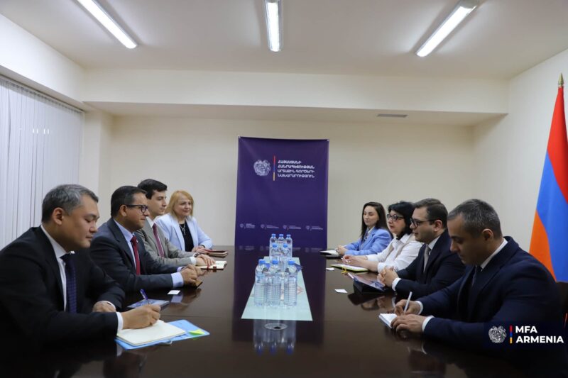 ՀՀ ԱԳՆ տեղակալը բարձր է գնահատել Կարմի խաչի և Կարմիր մահիկի ընկերությունների միջազգային ֆեդերացիայի կողմից Հայաստանում իրականացվող ծրագրերը