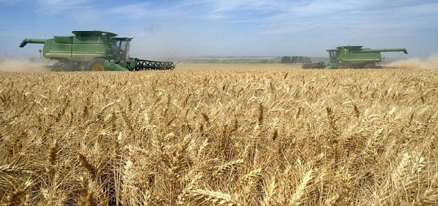 Ռուսաստանը բարձրացրել է ցորենի արտահանման մակարդակը