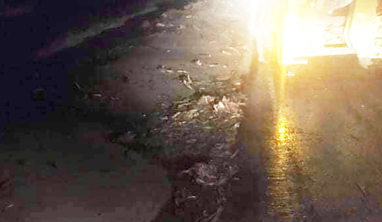 Մ-11, Մարտունի-Վարդենիս ավտոճանապարհին Սևանա լճի ալիքների հետևանքով առաջացել են հողային բերվածքների կույտեր. ՀՀ ՏԿԵՆ
