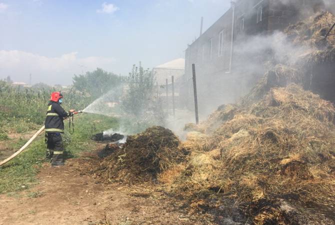 Ծաղկալանջ գյուղում մոտ 200 հակ անասնակեր է այրվել