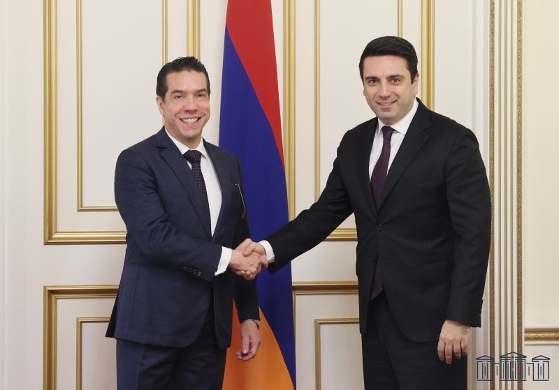 Կոչ եմ անում խիստ ու հասցեական դատապարտել Ադրբեջանի ագրեսիան. Ալեն Սիմոնյանը՝ ՀՀ-ում Բրազիլիայի դեսպանին