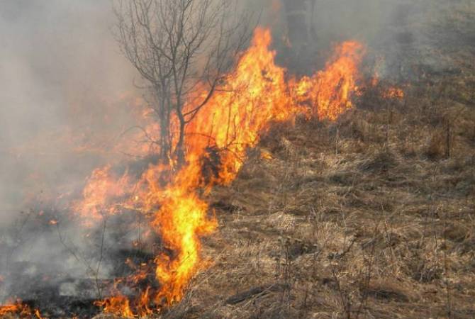 Ստեփանավանում մոտ 10 հա խոտածածկույթ է այրվել
