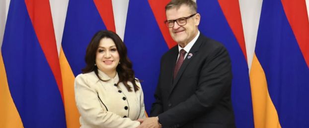 Նազելի Բաղդասարյանը և Չեխիայի խորհրդարանի Սենատի հանձնաժողովի նախագահը քննարկել են ժողովրդագրական իրավիճակը