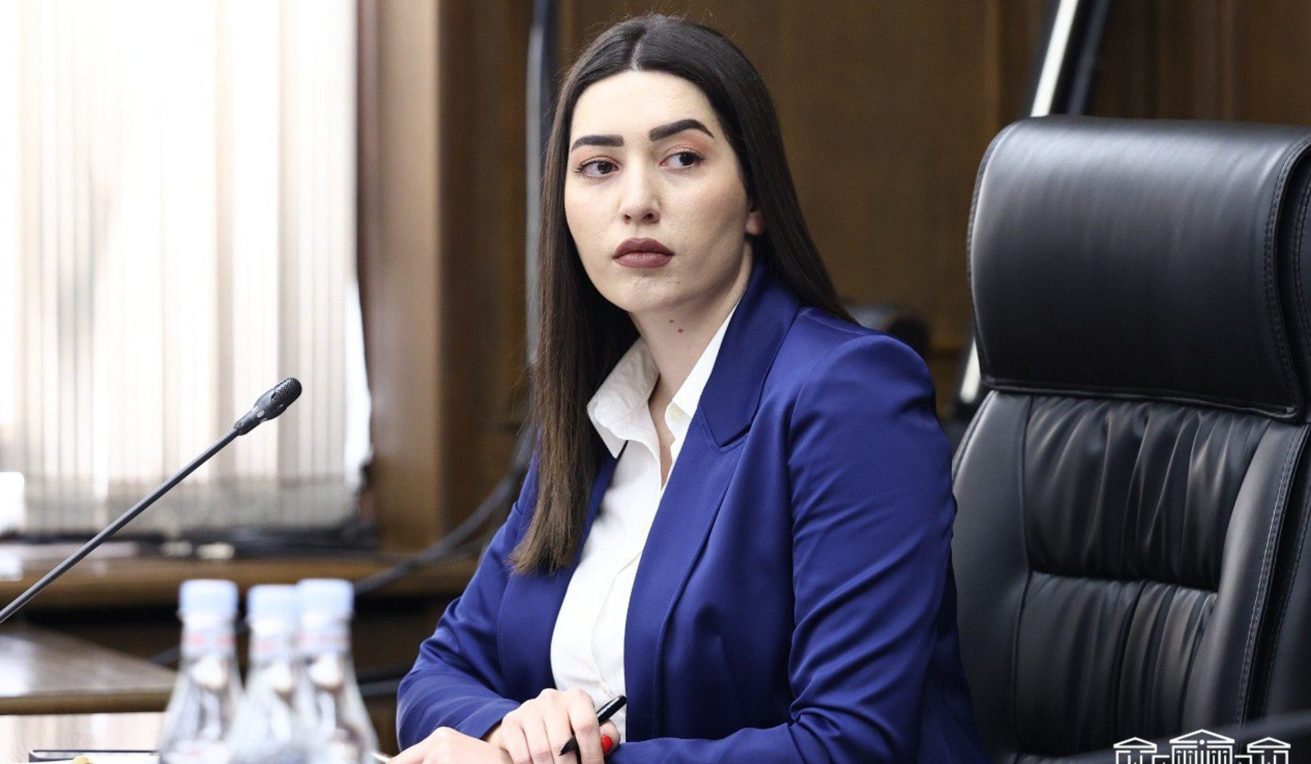Վրացական պետհամարանիշի շորթման մասով ունեցել ենք ընդամենը մեկ ահազանգ. ՆԳ նախարար