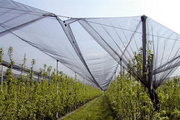 Կարկտապաշտպան ցանցերի ներդրումն առավել հասանելի կդառնա