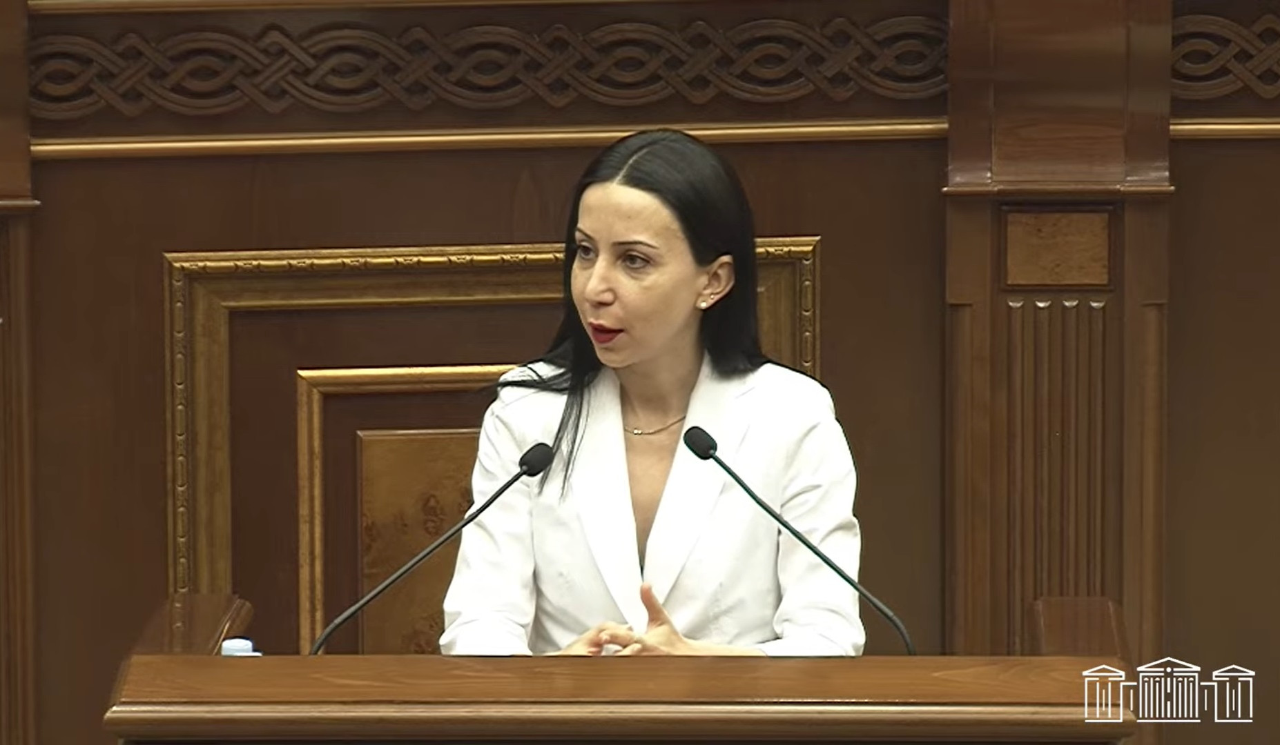 Մինչև ՀՀ խորհրդարանի դիրքորոշում դառնալը որևէ արտաքին ուժի միջամտություն գործընթացին ողջունելի չէ. Կարապետյանը՝ ԵՄ-ին անդամակցելու նախագծի մասին