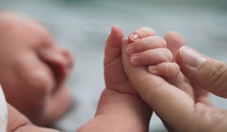 Մենք 2023 թվականի առաջին յոթ ամիսներին ծնունդների բավականին լավ ցուցանիշ ունենք. Նիկոլ Փաշինյան