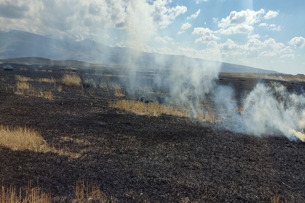 Գեղարոտ գյուղում այրվել է մոտ 20 հա խոզան