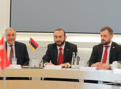 Արարատ Միրզոյանը հանդիպել է Դանիայի խորհրդարանի խոսնակի հետ